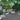 Magma Nero 450x900x30mm Outdoor Porcelain Paving