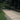 Beton Fiore Decor 600x600x20mm Decorative Outdoor Porcelain Paving