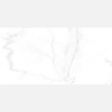 Riches Imperial Polished 300x600mm Indoor Porcelain Tile