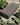 Basalt Tumbled Cobble Stone 200x100x50mm (50 pieces set)