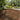 Forest Cherry 1200x300x20mm Wood Effect Porcelain Paving