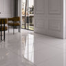 Polar White Polished Porcelain 600x600mm Indoor Porcelain Tile