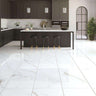 Riches Imperial Polished 600x600mm Indoor Porcelain Tile